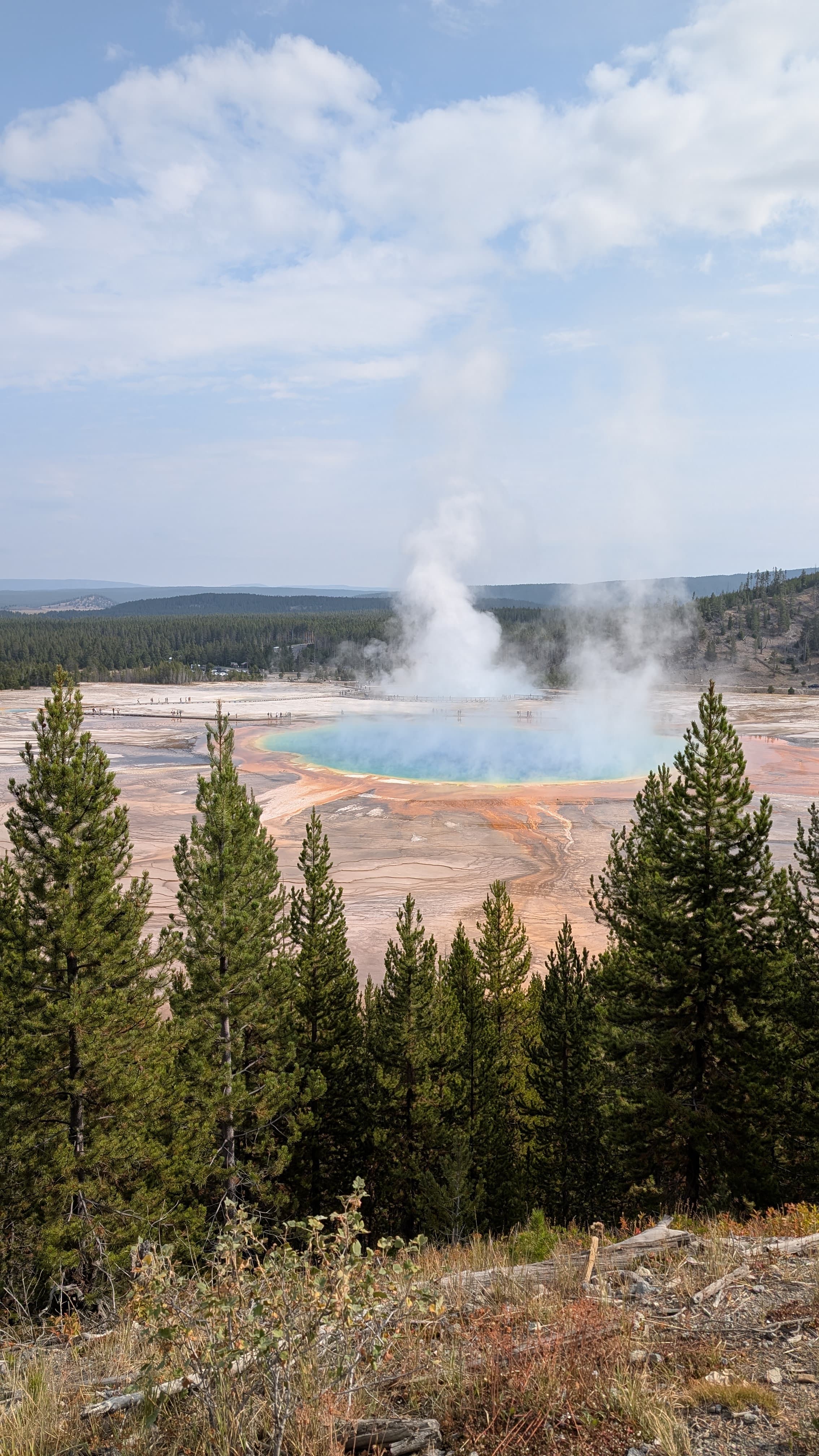 Yellowstone 3.jpeg